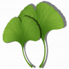 ginkgo-logo